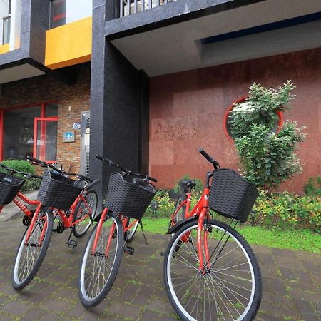 花蓮亮君經典民宿1館加2館民宿-東大門夜市-電梯包棟bright King Homestay Hualien Eksteriør bilde